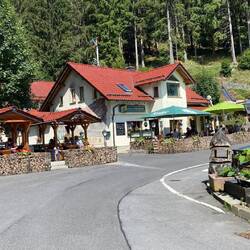 Rast an der Selbstmörder Kurve im Thüringer Wald