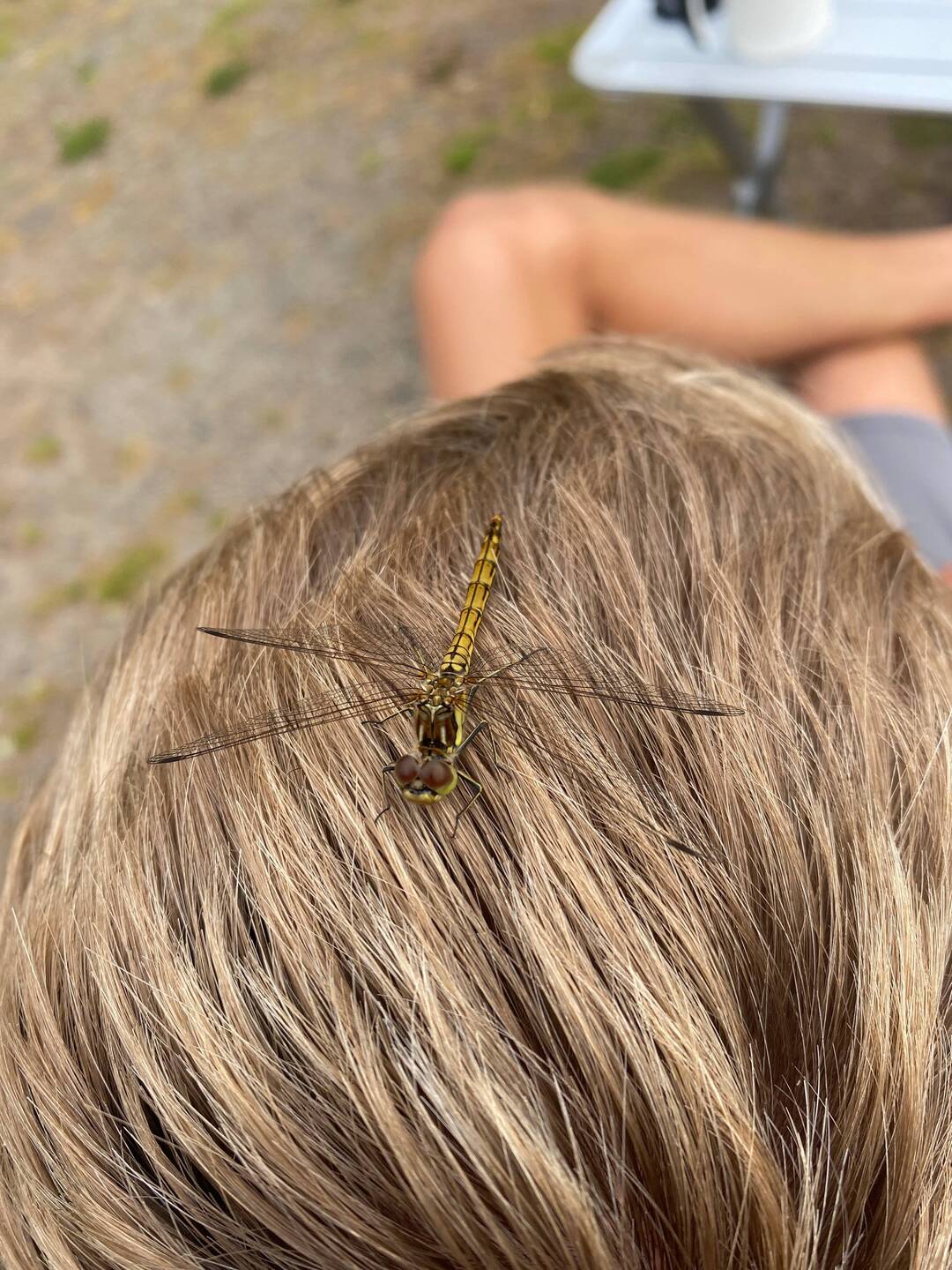 Mittlerweile eins mit der Natur 😂