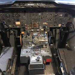 ganz dicht kommt man ran