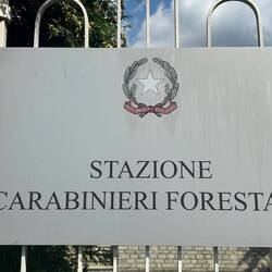 Die Waldpolizei ist mir vor Ort noch nicht begegnet