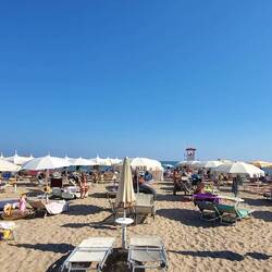 Puh, Schirm an Schirm , das muss man mögen :-)