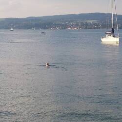 Willkommene Erfrischung!