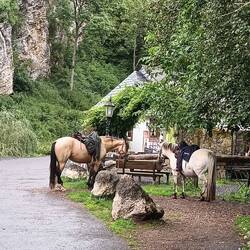 Pferdeparkplatz an der Nohner Mühle