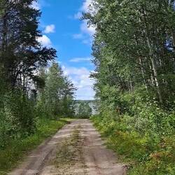 IMMER WIEDER EIN SPAß DURCH DEN WALD ZU FAHREN