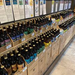 Schlechtwetterprogramm