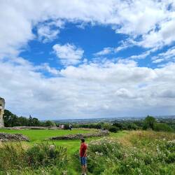 Donnington Castle