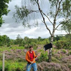 Fire flapper thingy a ma bobb, or a pony toy? 🤔