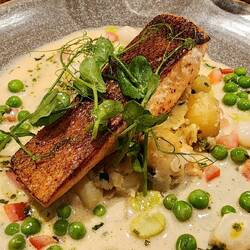 CHALKSTREAM® TROUT with WHITE WINE Sauce. Amazing crunch on the skin 😋