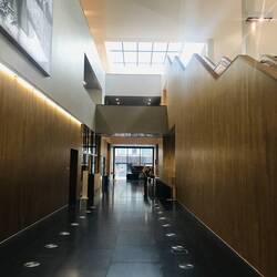 die Bibliothek, ein Augenschmaus