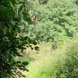 Ist das noch befahrbar?