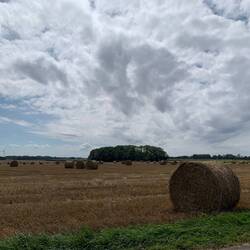 Sieht doch fast wie zu Hause aus.