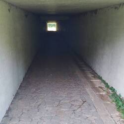 Tunnelblick