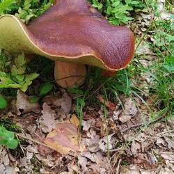 Da ist kein Atomkraftwerk in der Nähe!