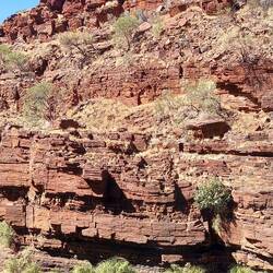 Fortescue Falls Pool