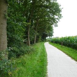 Langs eindeloze maisvelden.
