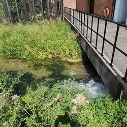 Test River. Water not used in the production of the gin.