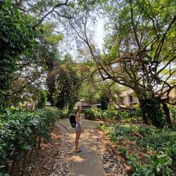 Steffi crashed Hotel-View