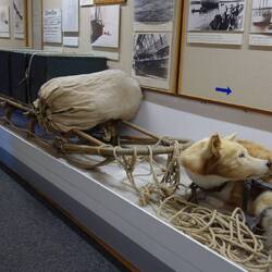 Der Schlitten war in der Arktis (kein Nachbau)