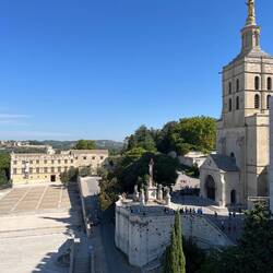 Avignon