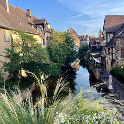 Colmar