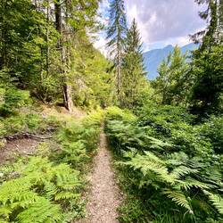 Kaum war ich oben angekommen, ging es wieder bergab nach Kuqishtë.