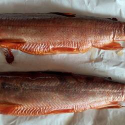 Unsere Beute, zwei frisch geräucherte Saiblinge!😁😁