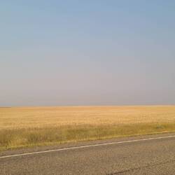 Miles and miles and miles of this