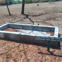 Armes Wildlife. Muss wohl verdursten