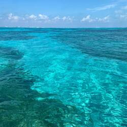 Z'Wasser vor üsem Dive🥰🐟🐠🐡