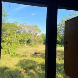 Ausblick aus meinem Dorm😇