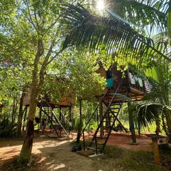 Tree House Hostel für 7€🙈