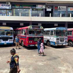 Die Busse sehen soo cool aus😍
