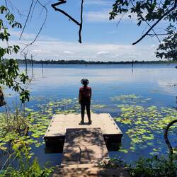 Rund um die Tempel finden sich riesige künstliche Seen und Bewässerungsanlagen - fast 1000 Jahre alt