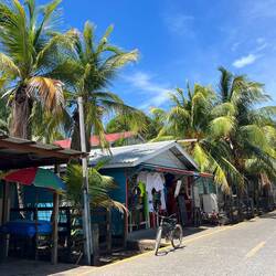 Tropischer Straßenzug 🌴🌴🌴