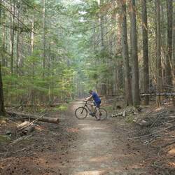 Erkundungstürli durch den Wald