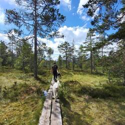 Abwechslungsreiche Wanderwege.