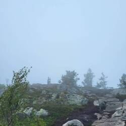 Martin und Lilli in der Wolke versteckt.