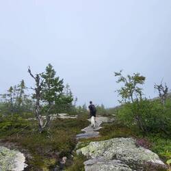 Immer mehr Wolken je höher wir kommen.