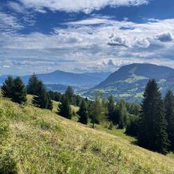 Blick zurück auf Bühl am Alpsee
