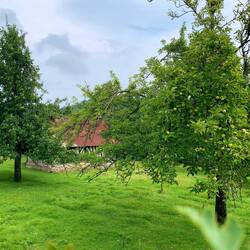 Wir sind im Département du Calvados.😉