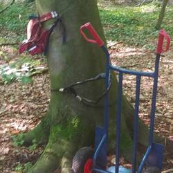 Was war da los? Später rausgefunden : Waldkindergarten