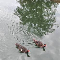 Was seid ihr denn für welche?