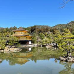 Kinski-Ji
