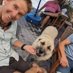 Dogs here are so demanding