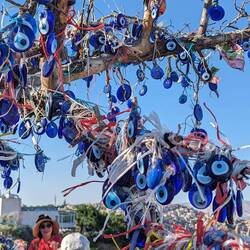 'evil eye' trees are a thing. Especially near stores selling them