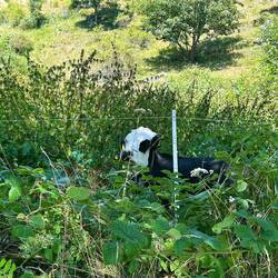 Nicht nur mir war zu warm