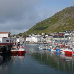 Nicht zu übersehen: Honningsvåg lebt vom Fischfang