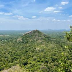 Pidurangala Rock von heute Morgen