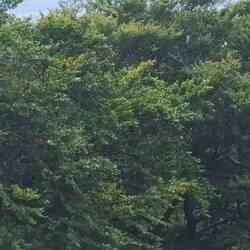 ..Und da geht's Morgen rauf