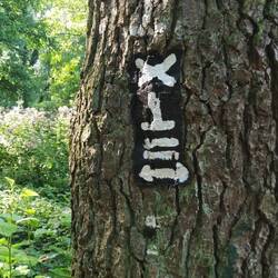 Eine Botschaft. Für Mich.